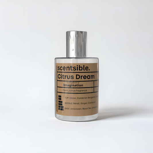 Citrus Dream - Our Creation Of Imagination